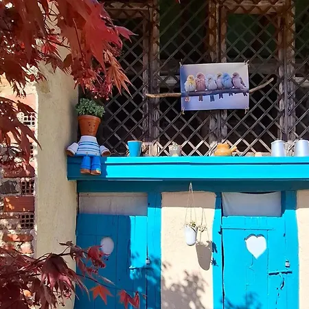 Panzió La Cour Des Saligues Riscle