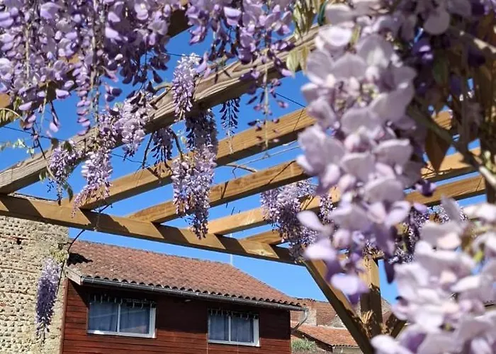 La Cour Des Saligues 3*