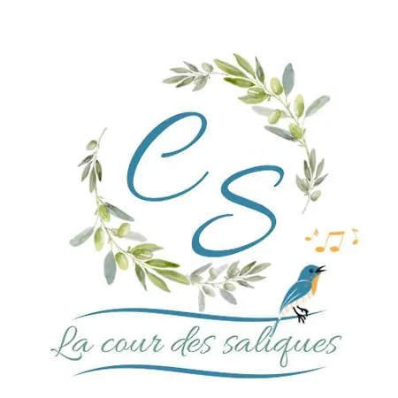 La Cour Des Saligues *