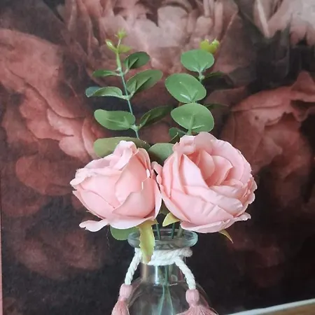 فندق مبيت وإفطار La Cour Des Saligues Riscle