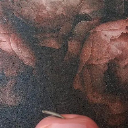 La Cour Des Saligues 3* Riscle