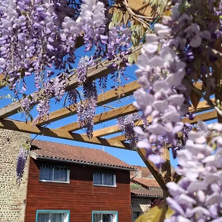 La Cour Des Saligues 3*