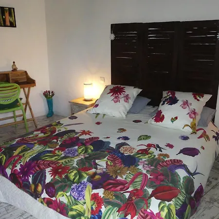 La Cour Des Saligues Riscle