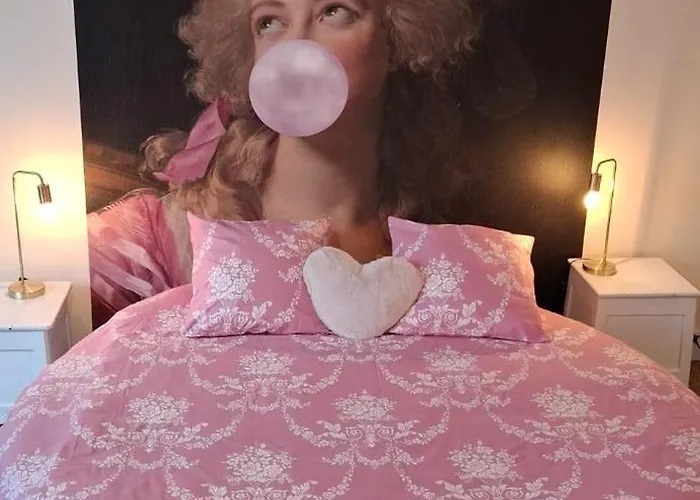 La Cour Des Saligues Bed and breakfast 3*