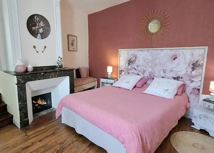 Bed and breakfast La Cour Des Saligues 3*