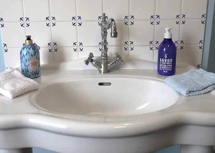 La Cour Des Saligues Bed and breakfast 3*