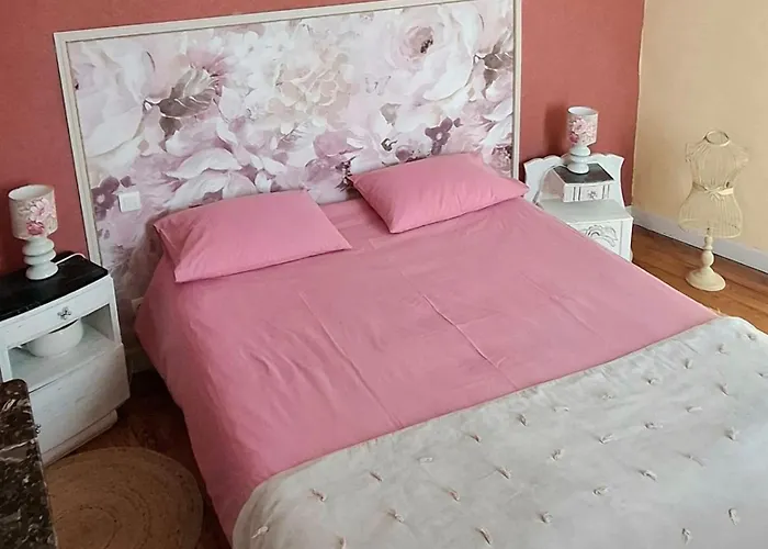 La Cour Des Saligues Bed and breakfast 3*